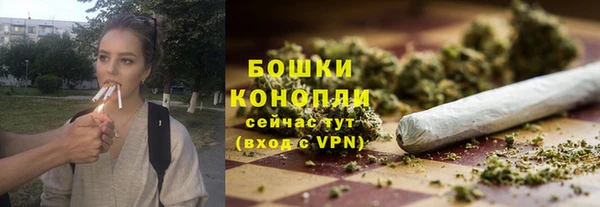 a pvp Бородино