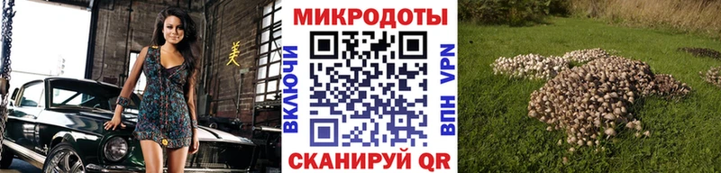 Галлюциногенные грибы ЛСД  Люберцы 